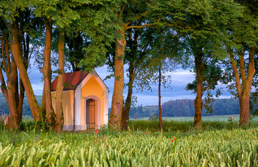 11. Platz Peter Marion